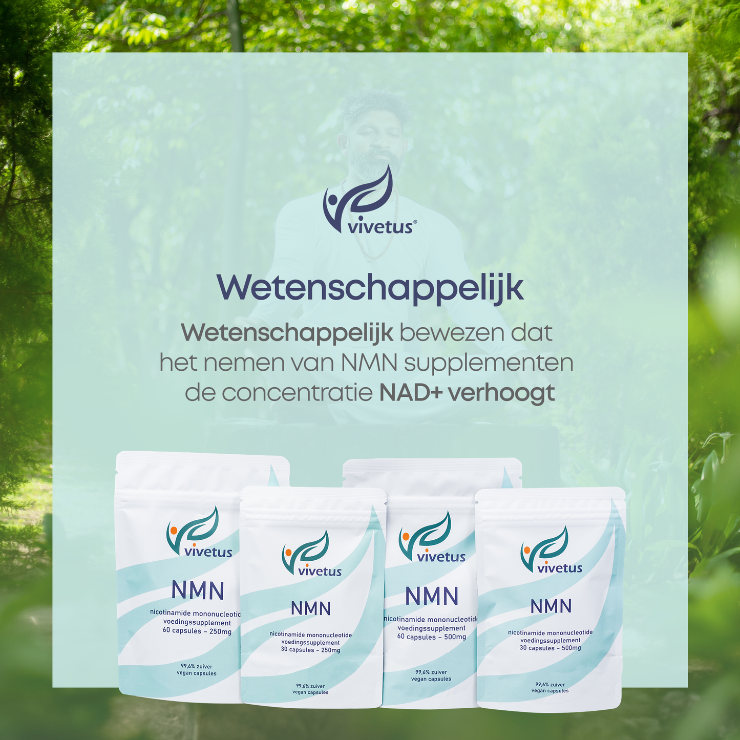Vivetus NMN powder