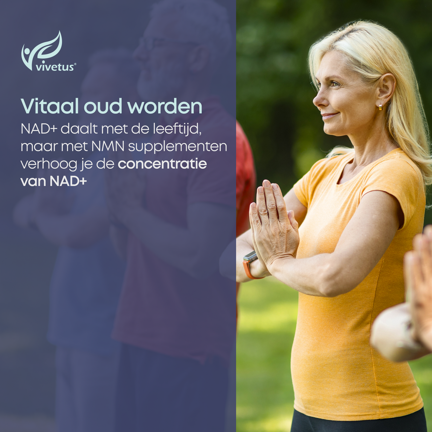 Vivetus NMN powder